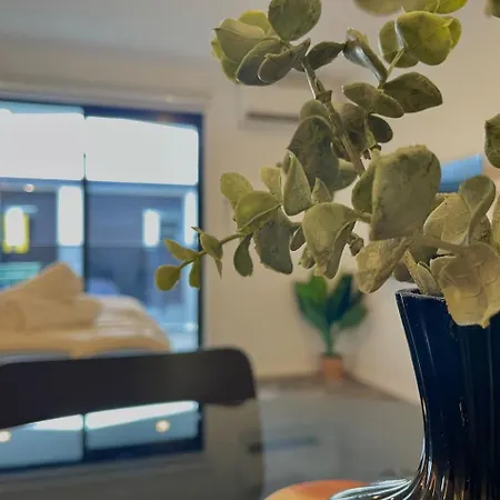 Relaxing Cbd Studio
